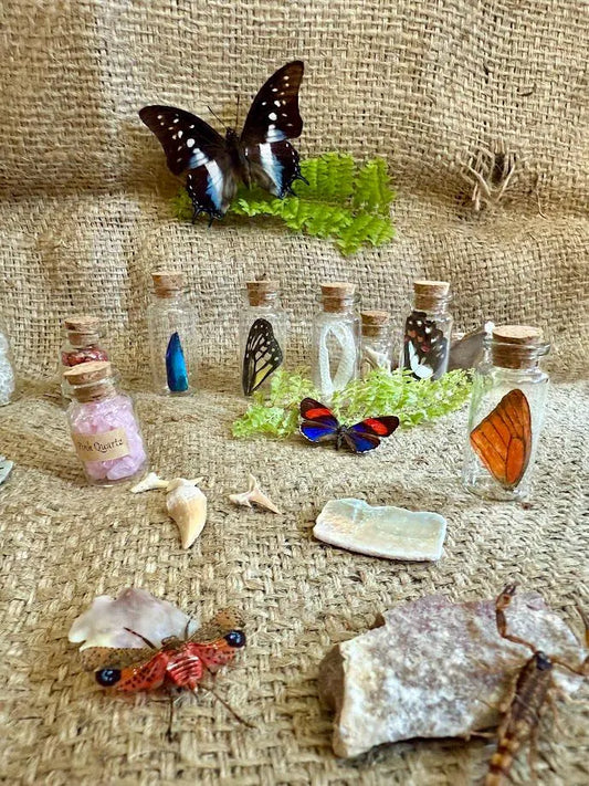 Oddities Mystery Box! Glass Vials and Curiosities from Around the World! Bones, Fossils, Insect Specimens, Minerals, Curio Cabinet Decor