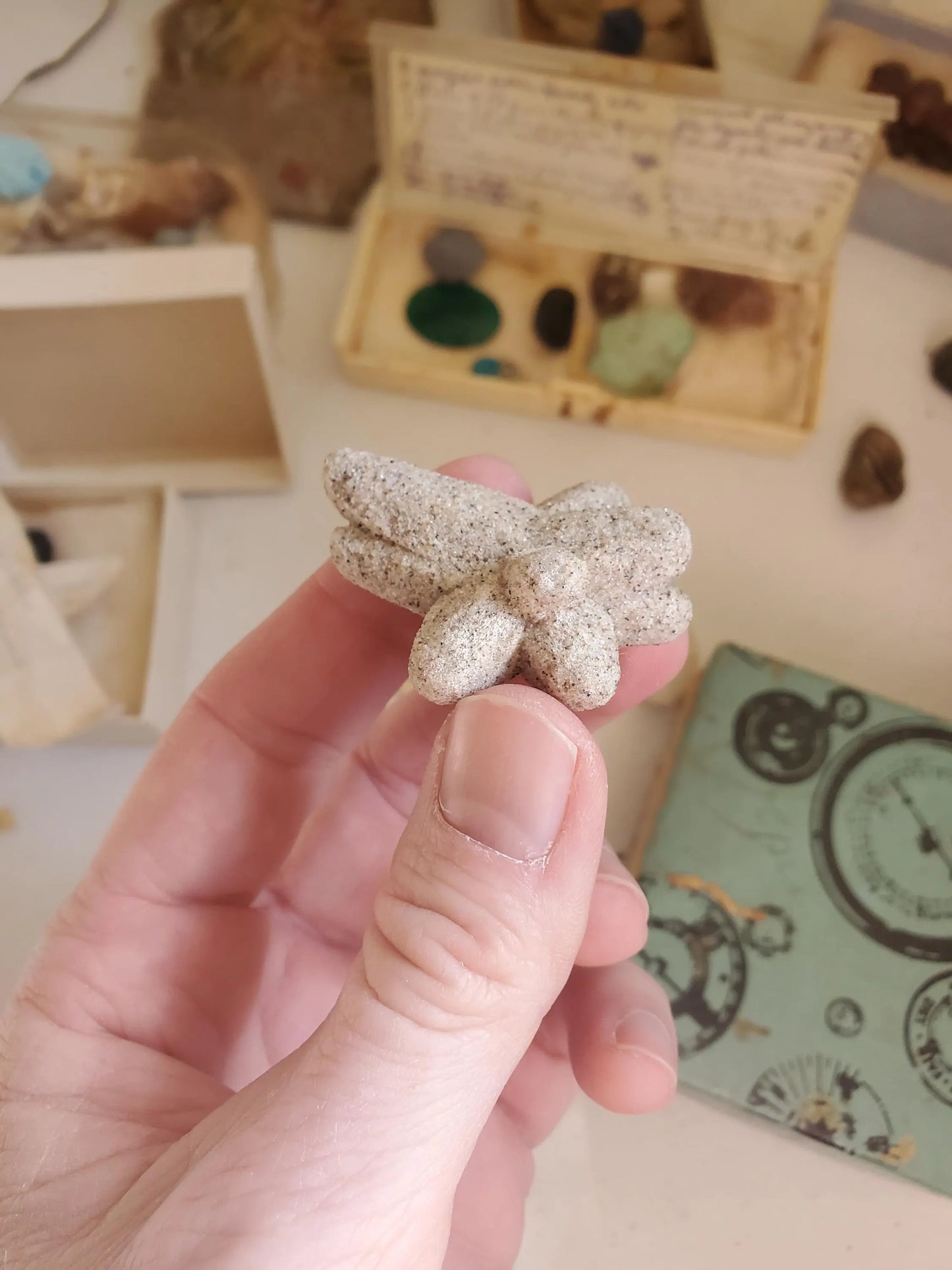 RARE! Sand Calcite Specimen from South Dakota Collected in early 1900s Real Authentic Mineral Crystal Specimen