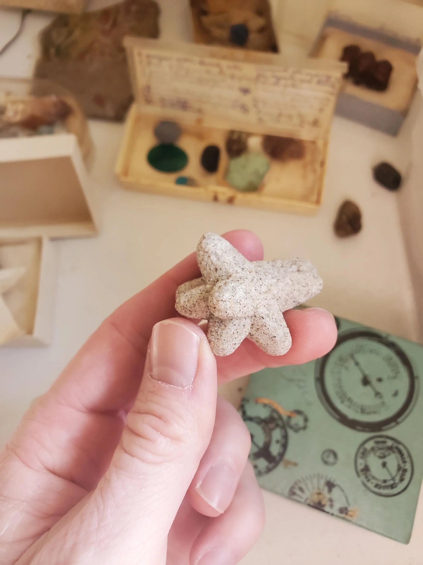 RARE! Sand Calcite Specimen from South Dakota Collected in early 1900s Real Authentic Mineral Crystal Specimen