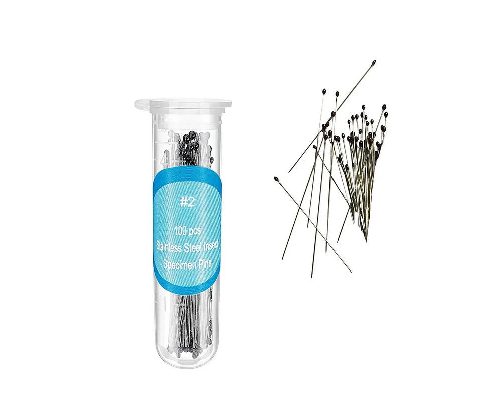 Complete Butterfly Mounting Kit with Spreading Board, PRESERVED BUTTERFLIES, entomology tweezers and more! Pinning Kit