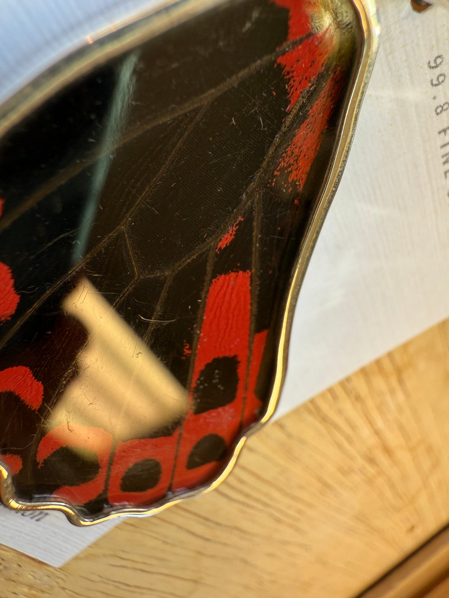 Damaged Red Scarlet Butterfly Wing Pendant in 99.5 Fine Silver