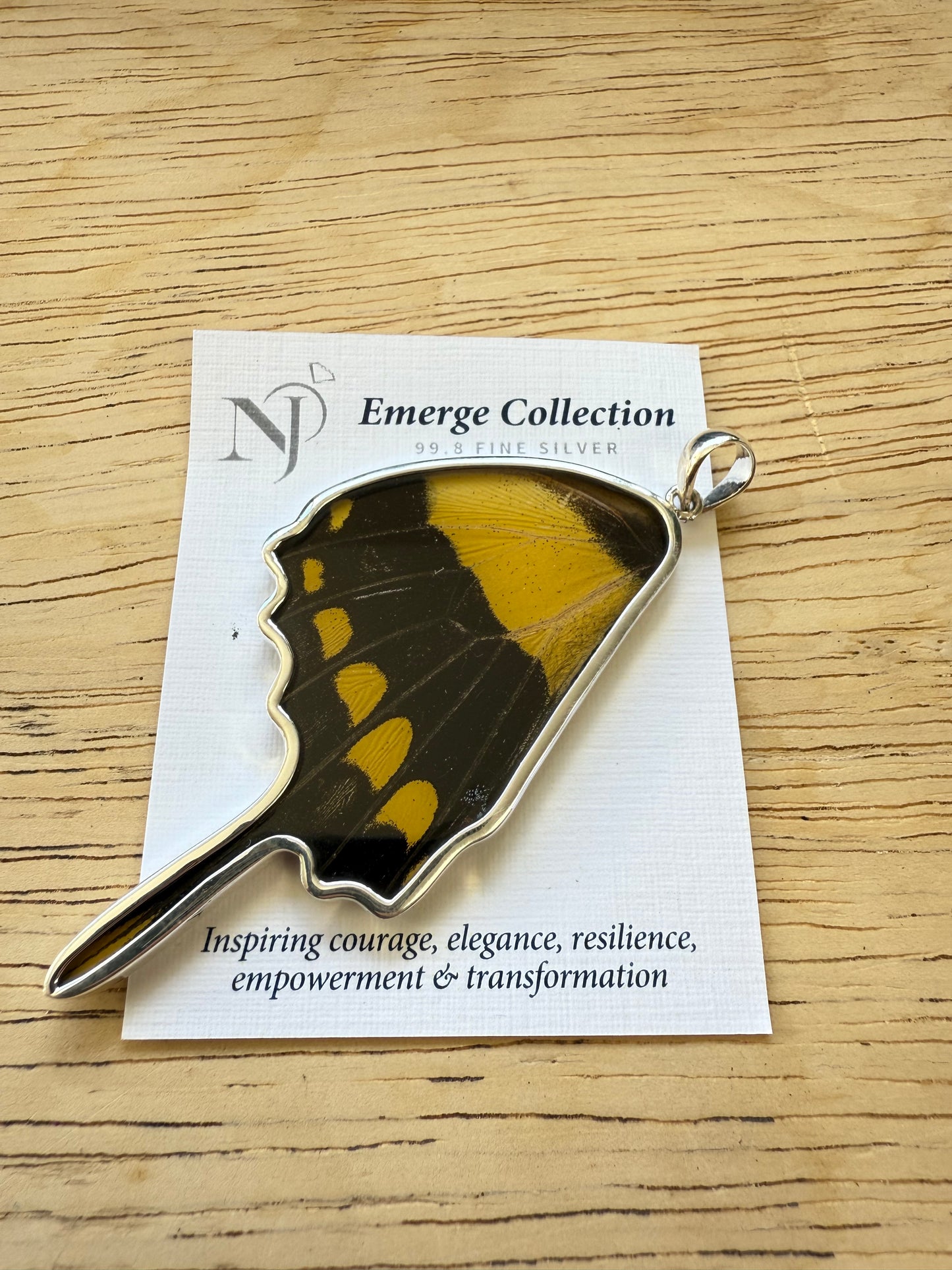 Damaged King Swallowtail by Butterfly Wing Pendant in 99.5 Fine Silver Lot 100