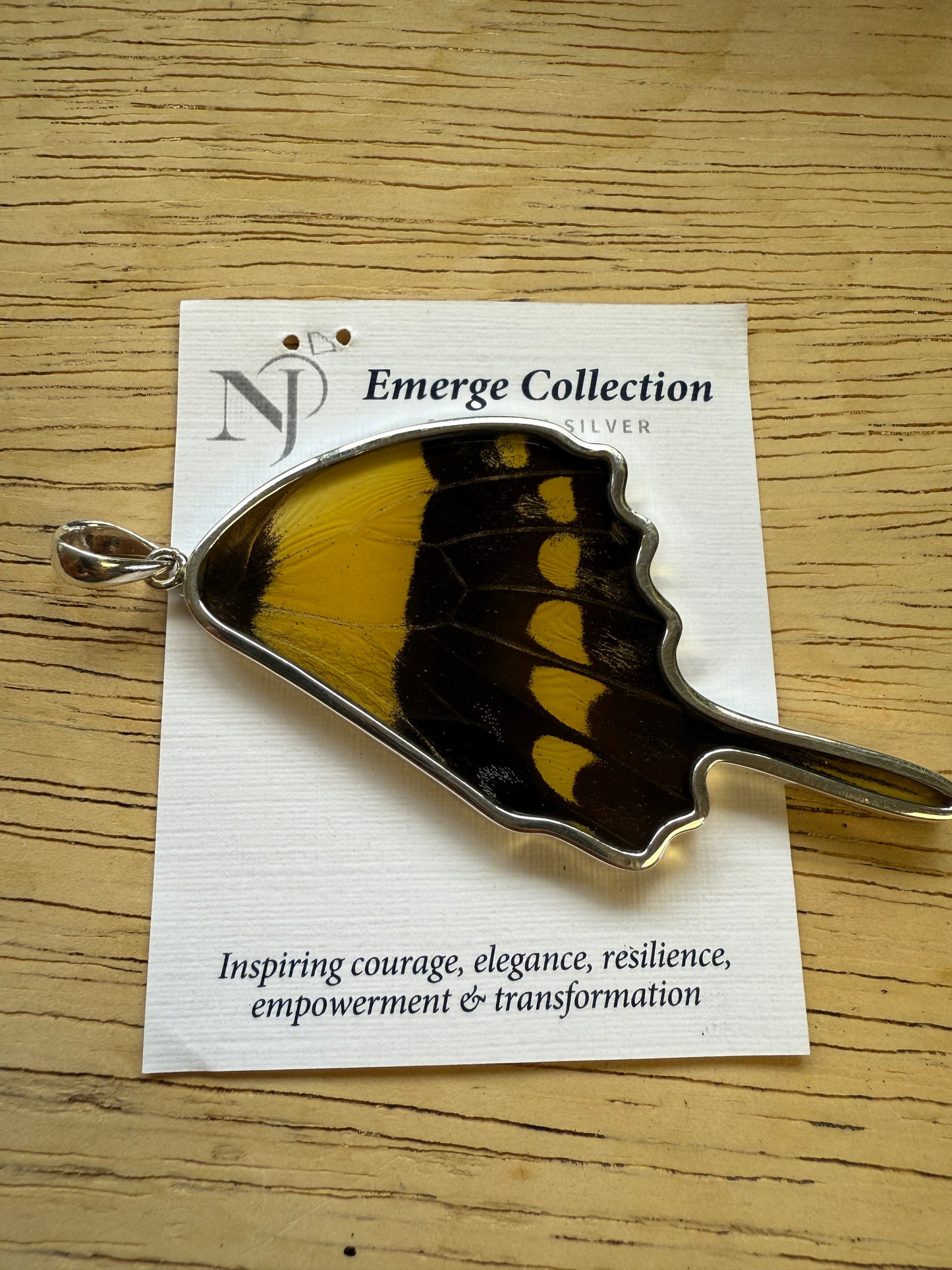 Damaged King Swallowtail Butterfly Wing Pendant in 99.5 Fine Silver Lot 101