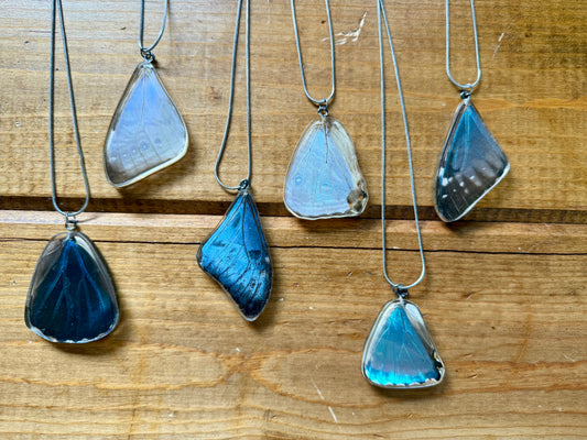 Real Morpho Butterfly Wing Pendant Necklaces