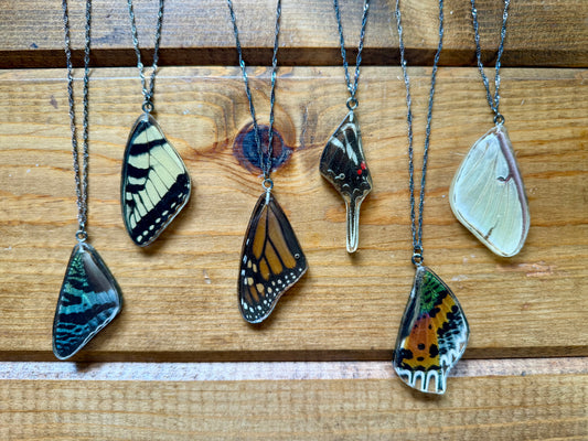 Real Butterfly and Moth Wing Pendant Necklaces Sterling Silver