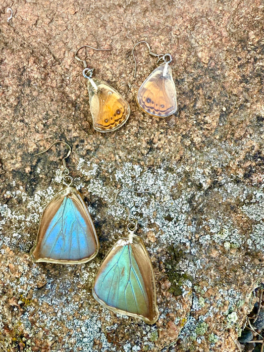 Real Butterfly Wing Earrings Sterling Silver