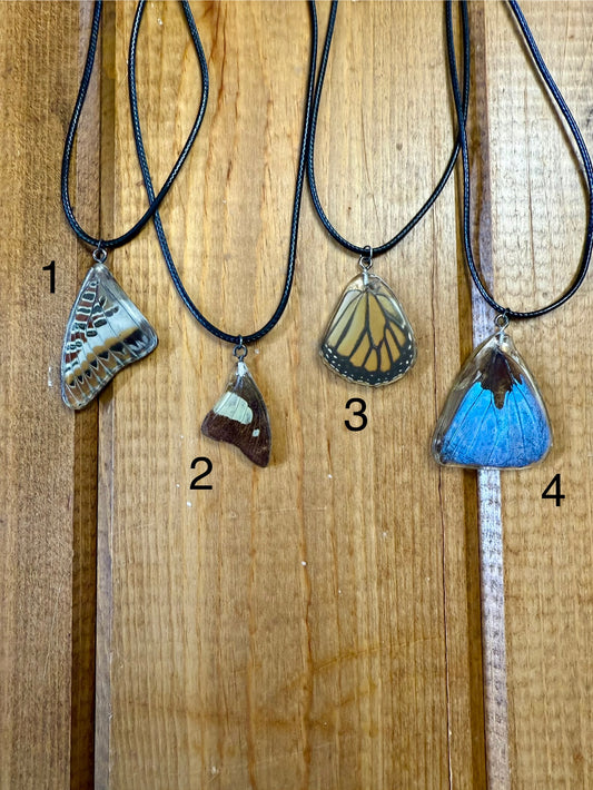 Real Butterfly and Moth Wing Necklaces with Woven Cord