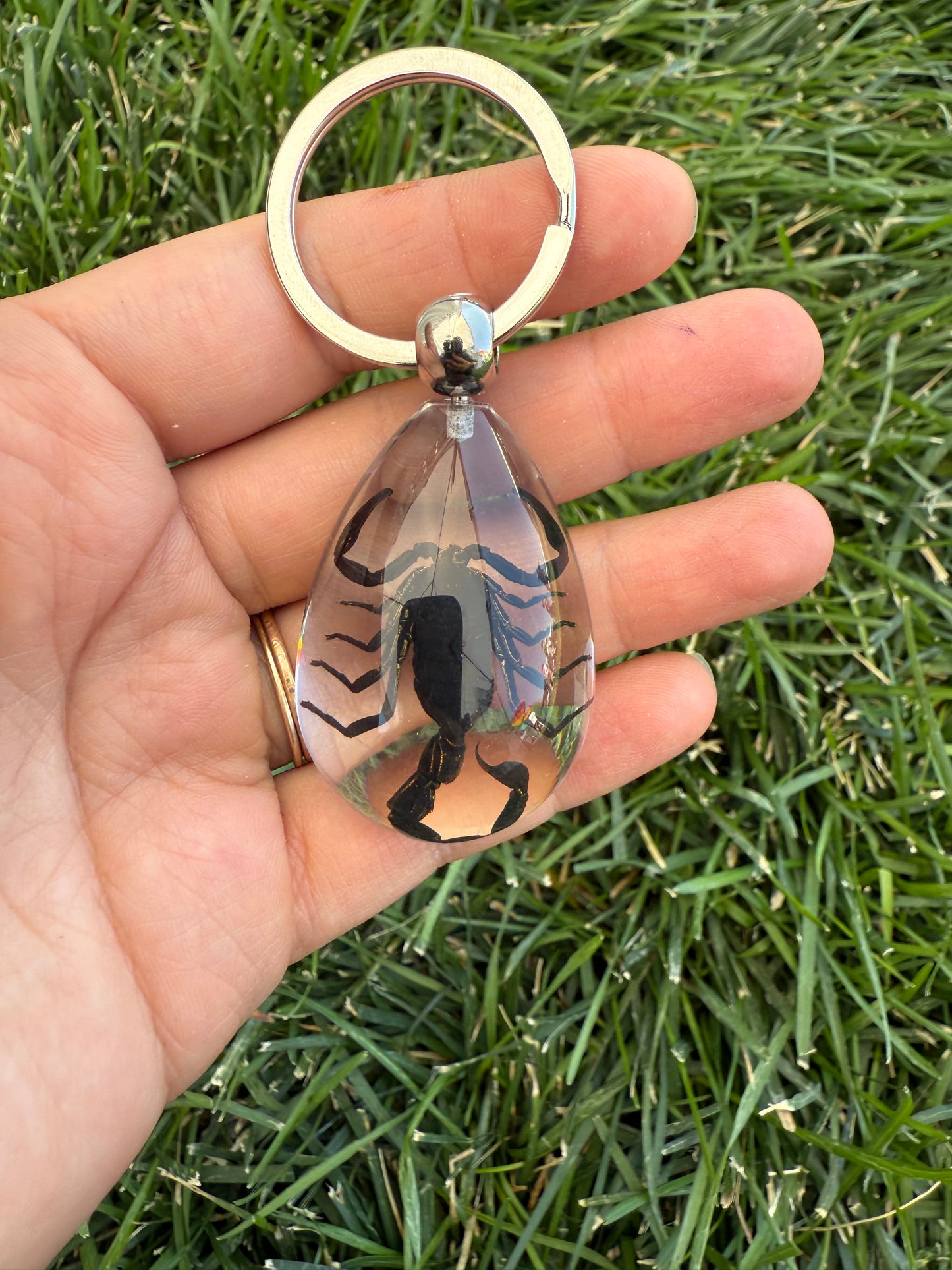 Real Preserved Scorpion Keychain in Clear Resin