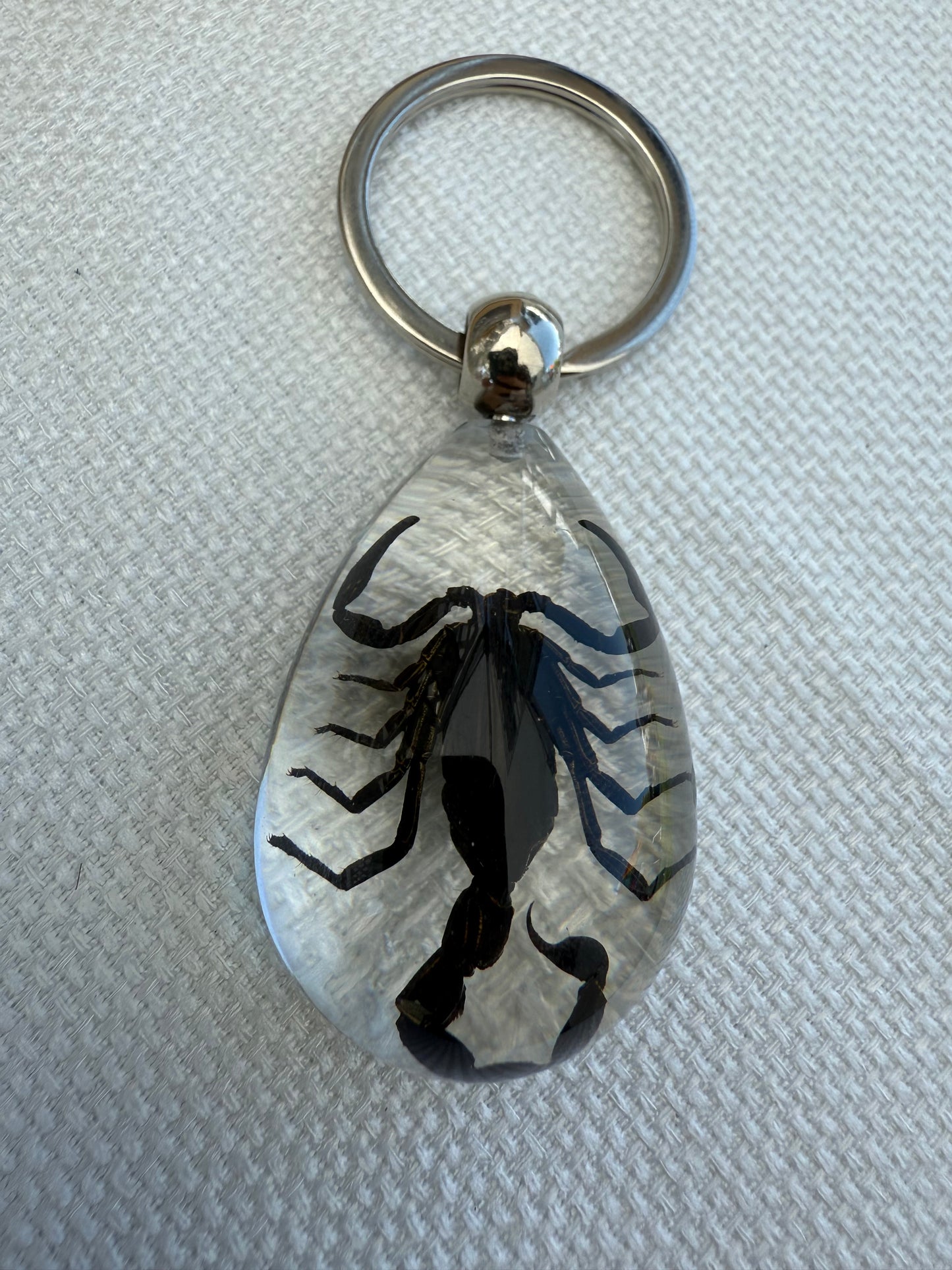 Real Preserved Scorpion Keychain in Clear Resin