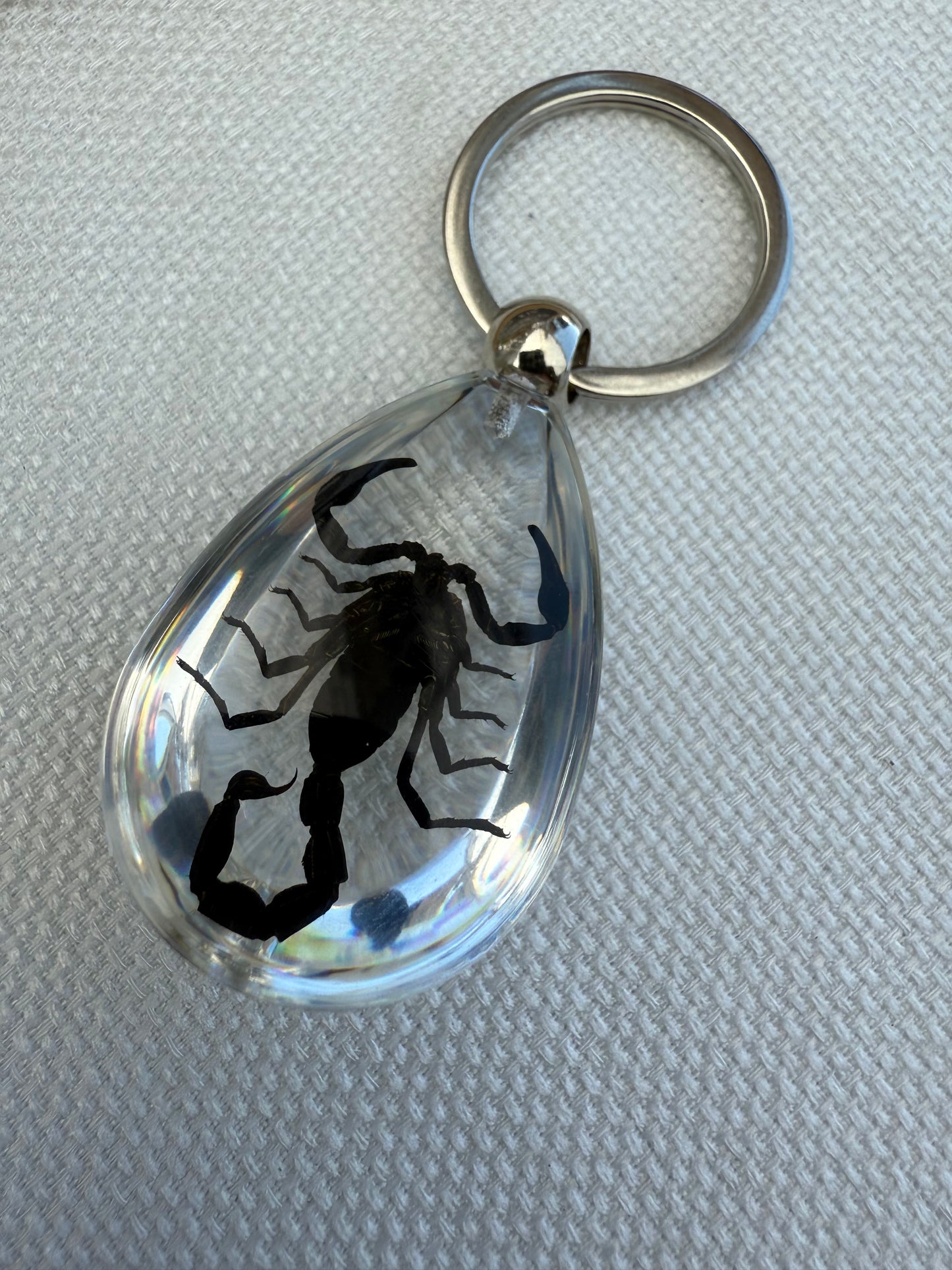 Real Preserved Scorpion Keychain in Clear Resin