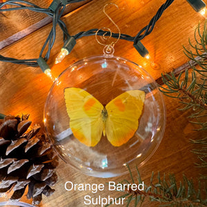 REAL Butterfly Christmas Tree Ornaments