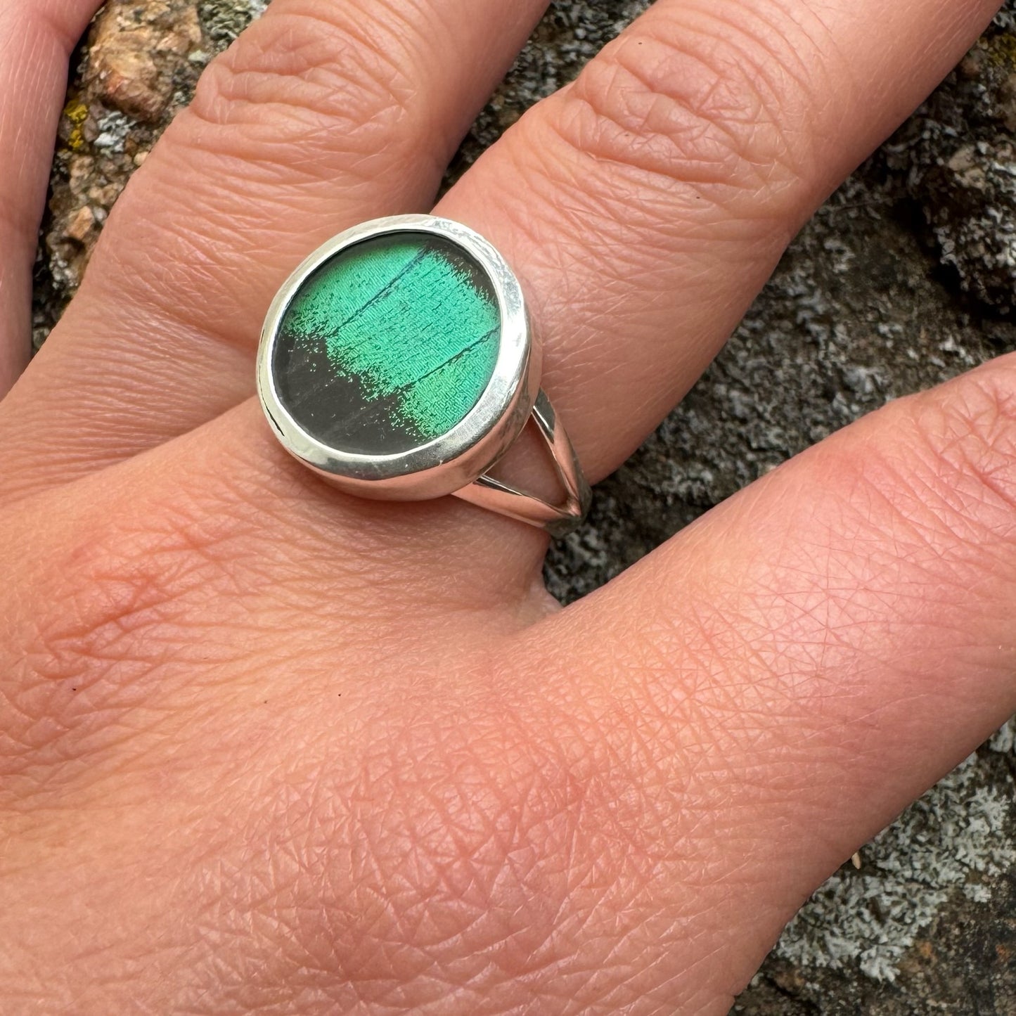 REAL Butterfly Peacock Swallowtail Wing Ring in 99.5 Fine Silver