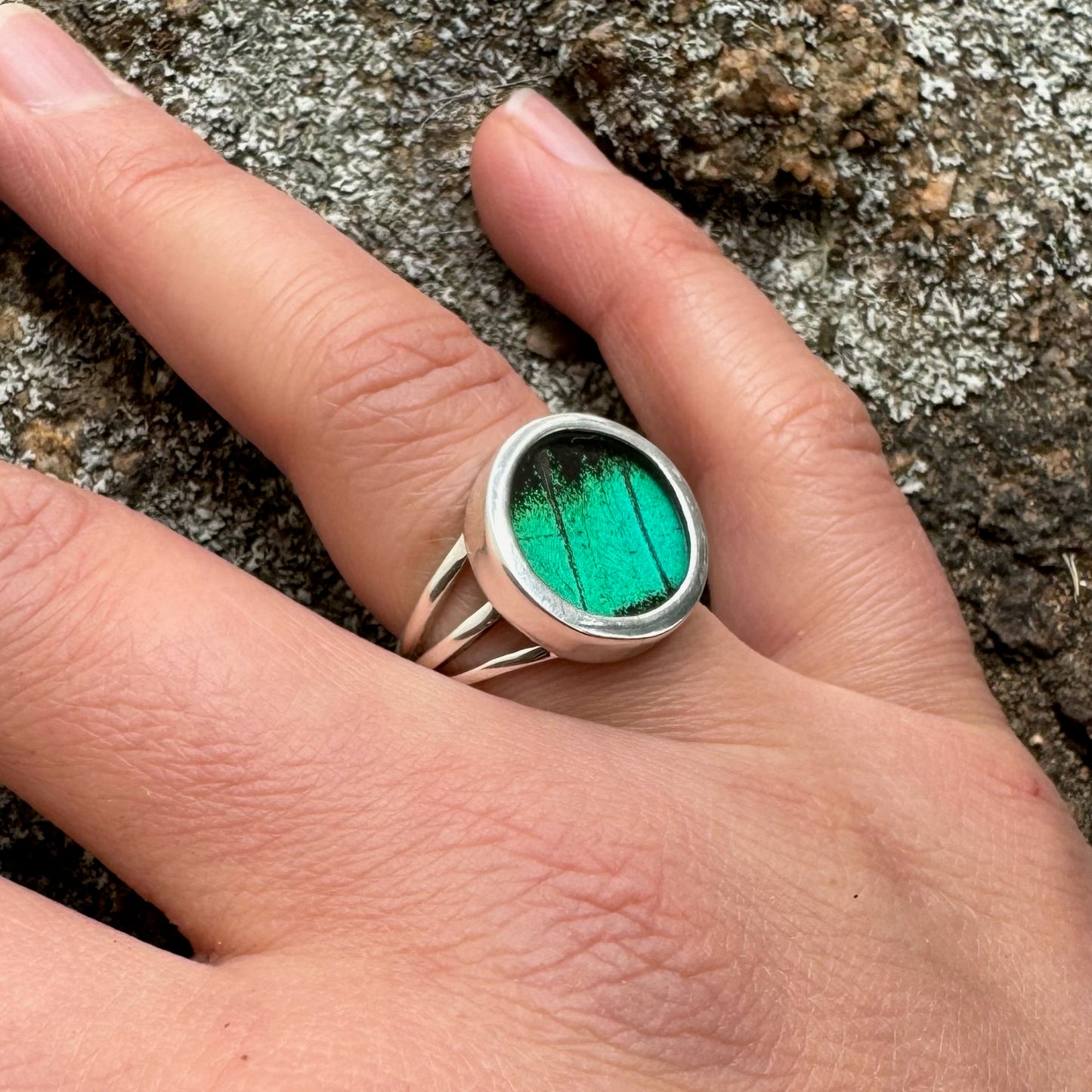 REAL Butterfly Peacock Swallowtail Wing Ring in 99.5 Fine Silver