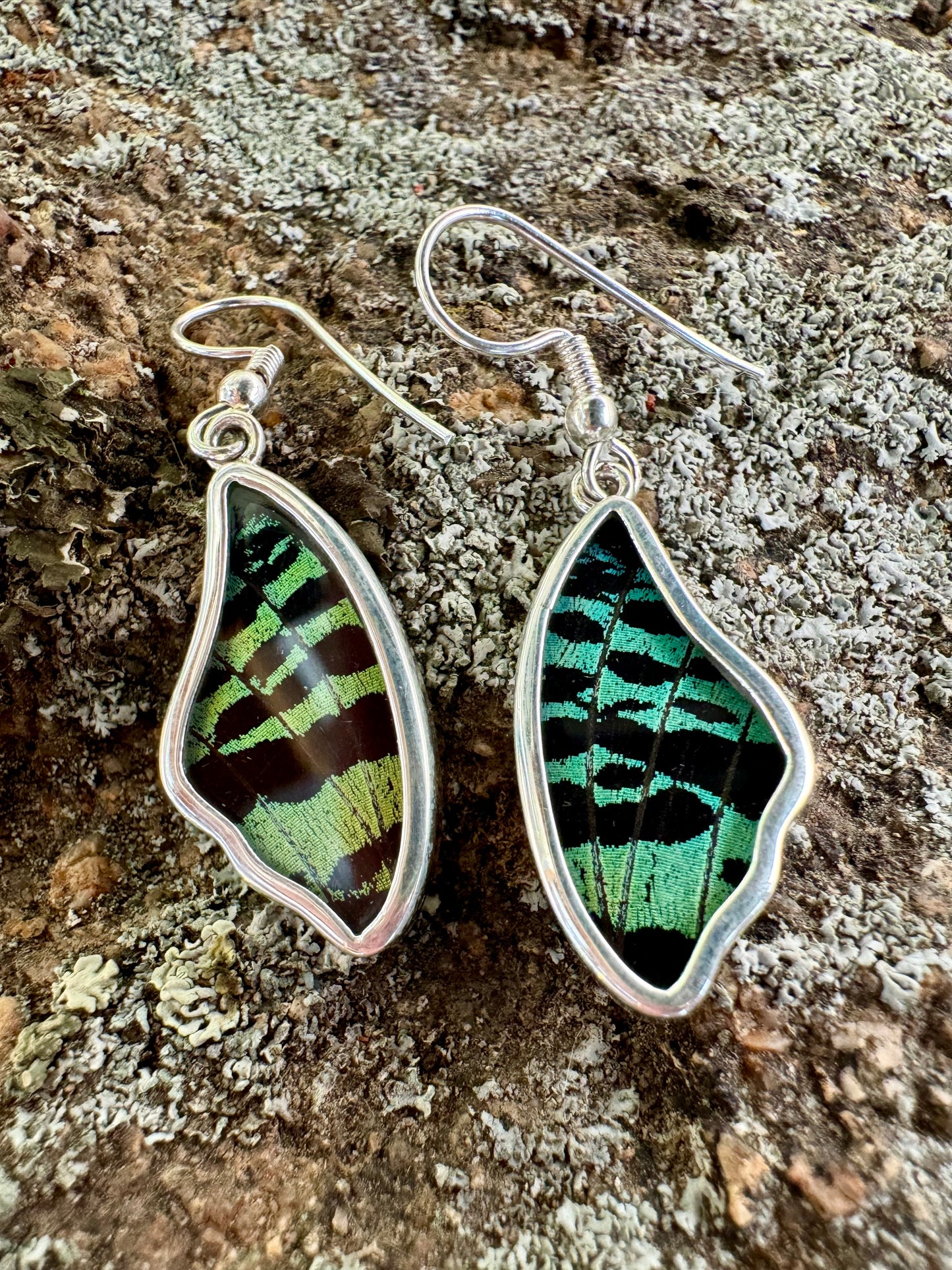 Sunset Moth Butterfly Wing Drop Earrings in 99.5 Fine Silver