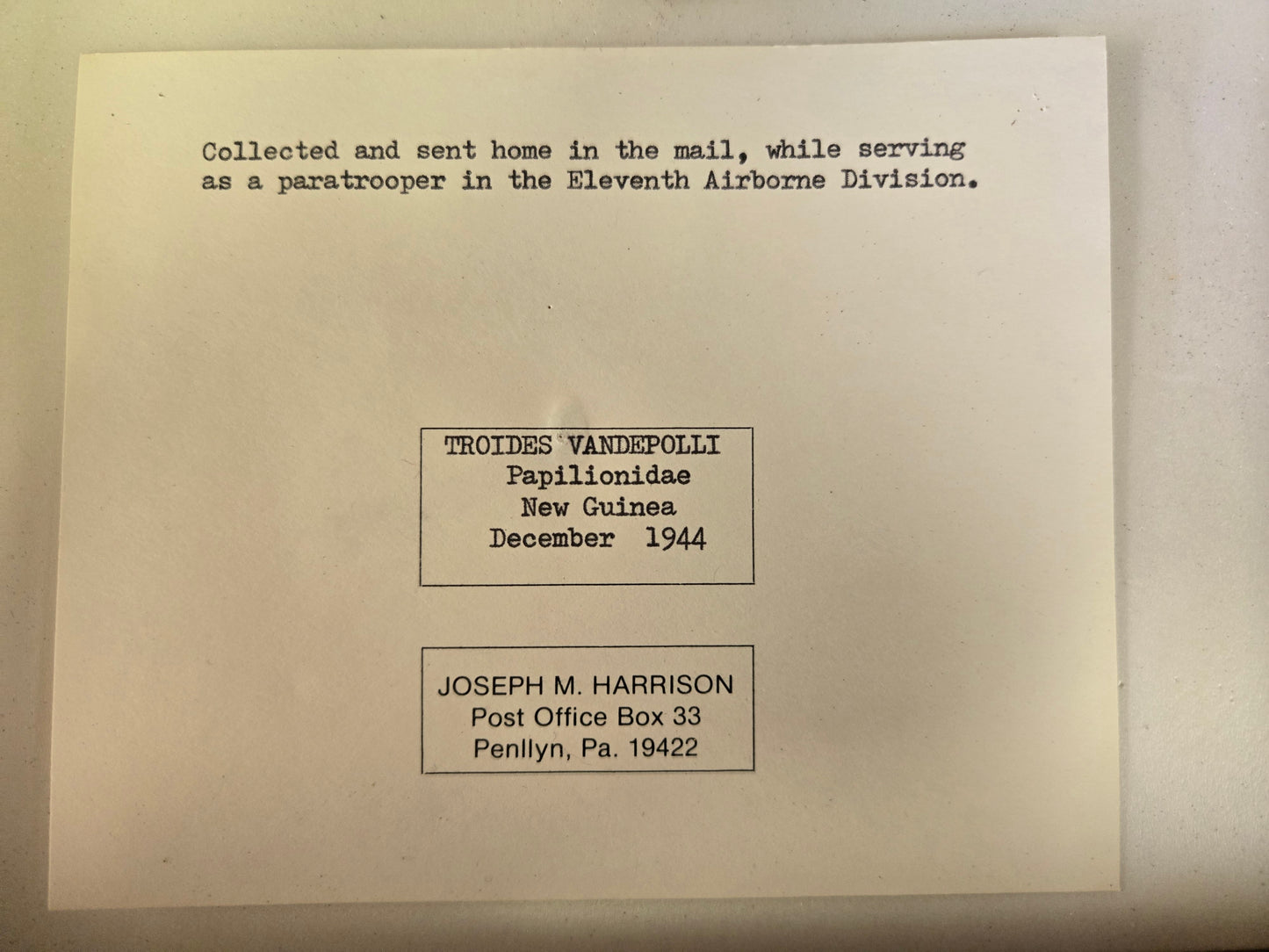 HISTORICAL RARITY! Please Read! Spread Birdwing A2 LOT 431