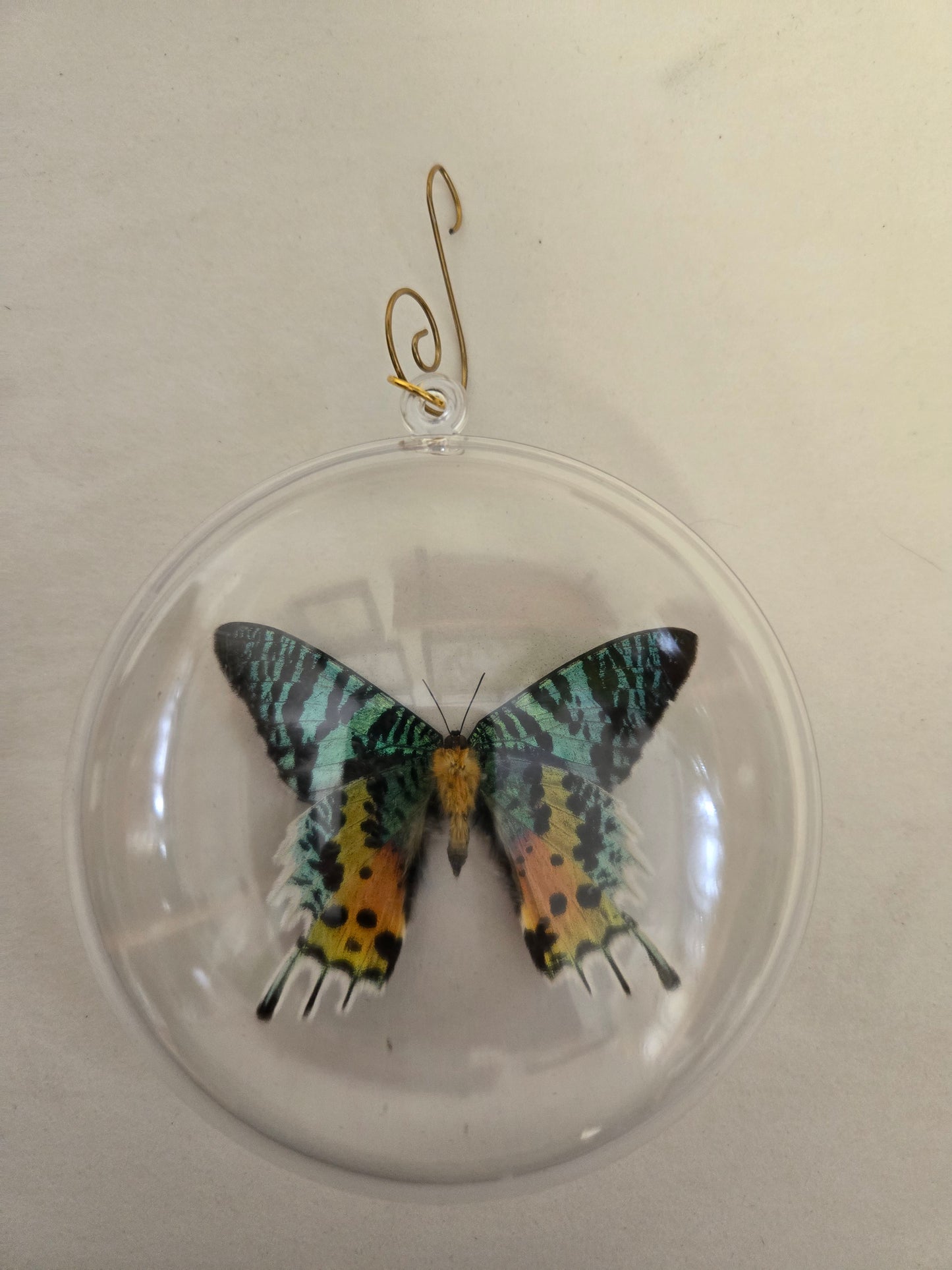Sunset Moth Christmas Ornament