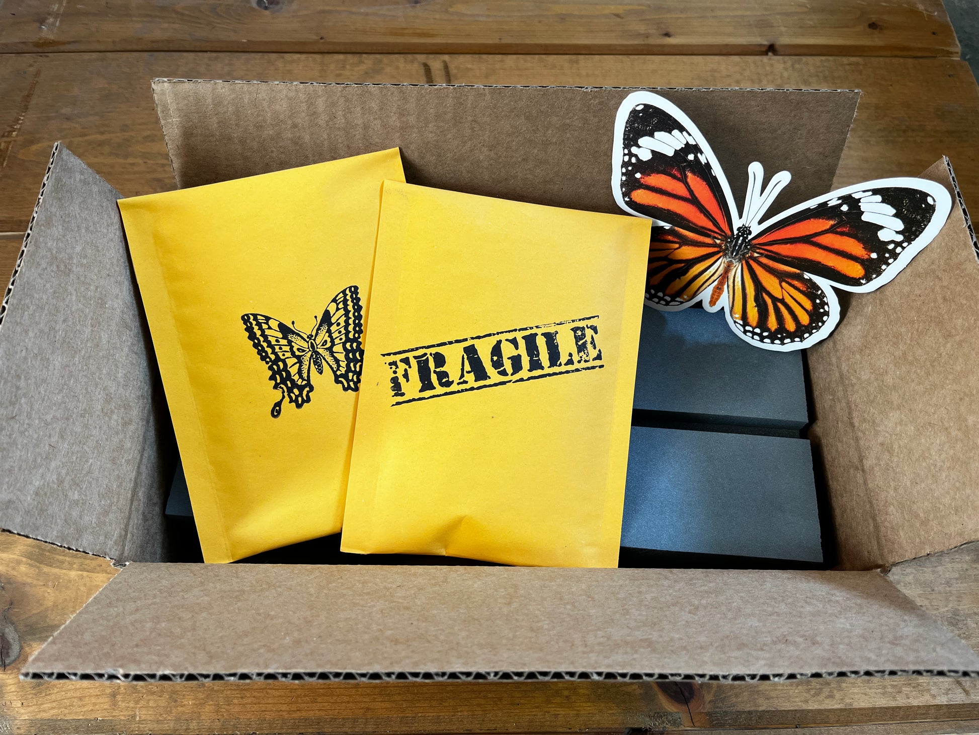 Complete Butterfly Mounting Kit Insect Speading Board - Little Caterpillar Art Little Caterpillar Art Mounting Equipment