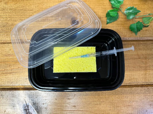 Butterfly/Insect Hydration Chamber Kit