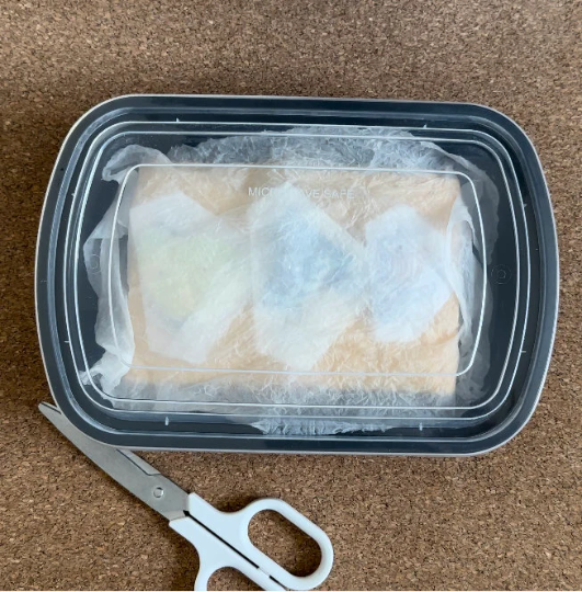 Butterfly/Insect Hydration Chamber Kit