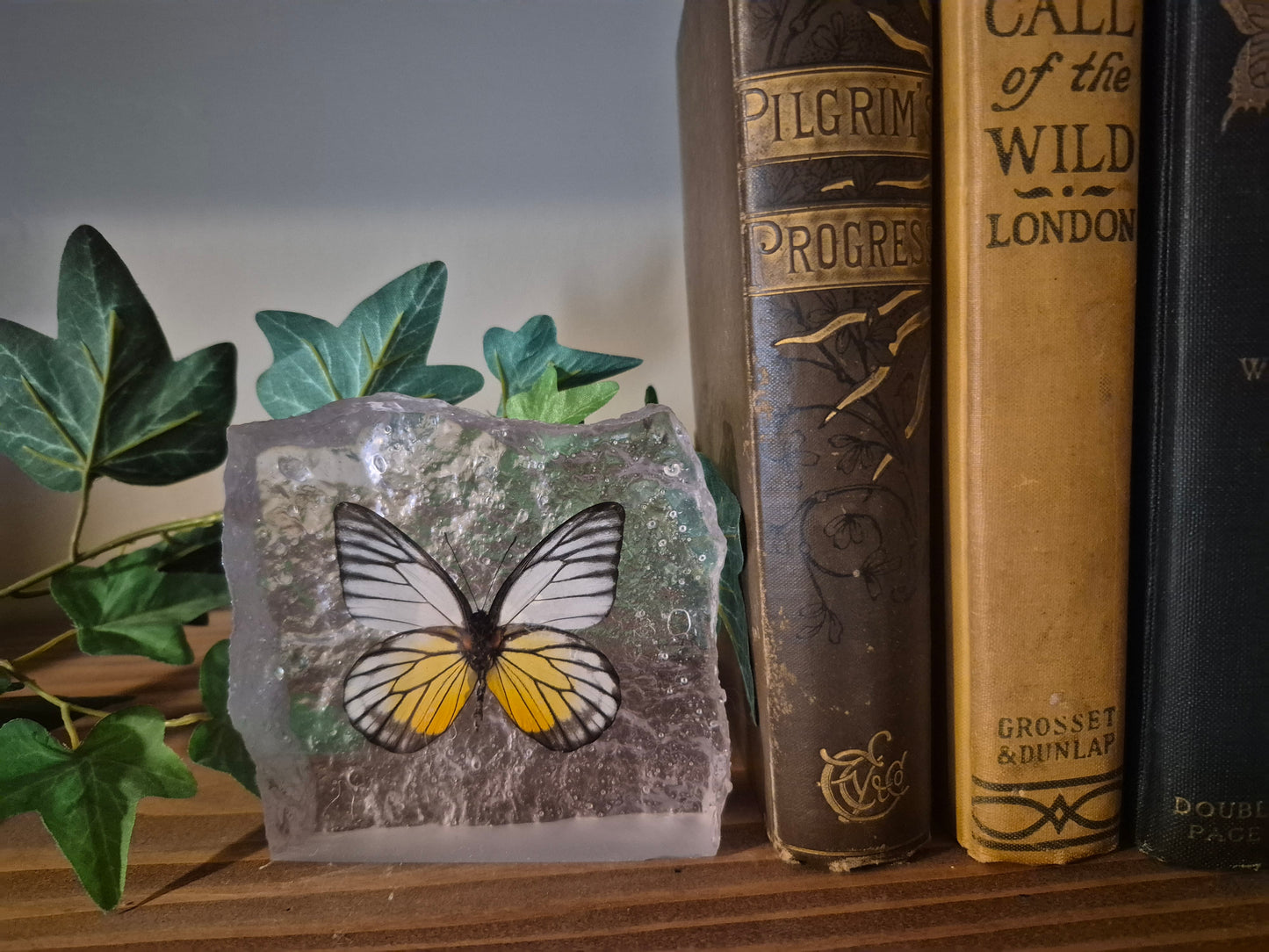 Resin Butterfly Glacier - Real Butterfly Specimens Encased in Crystal Resin