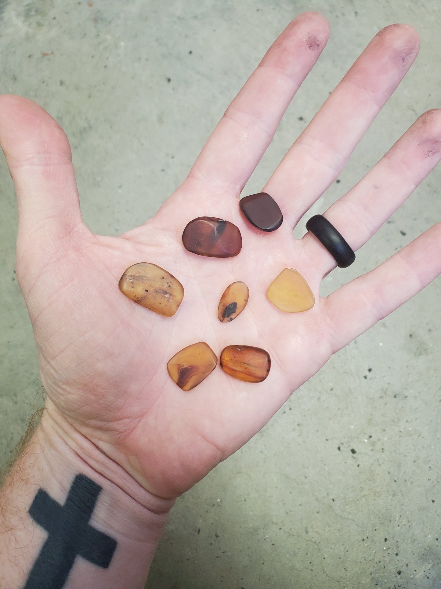 REAL Fossil Amber with Insect Specimens!