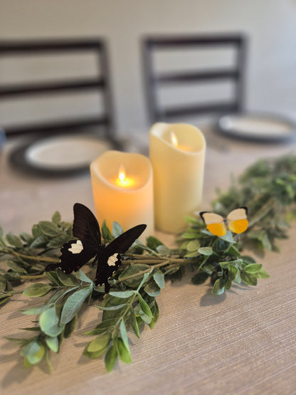 Real spread butterflies for weddings or special events