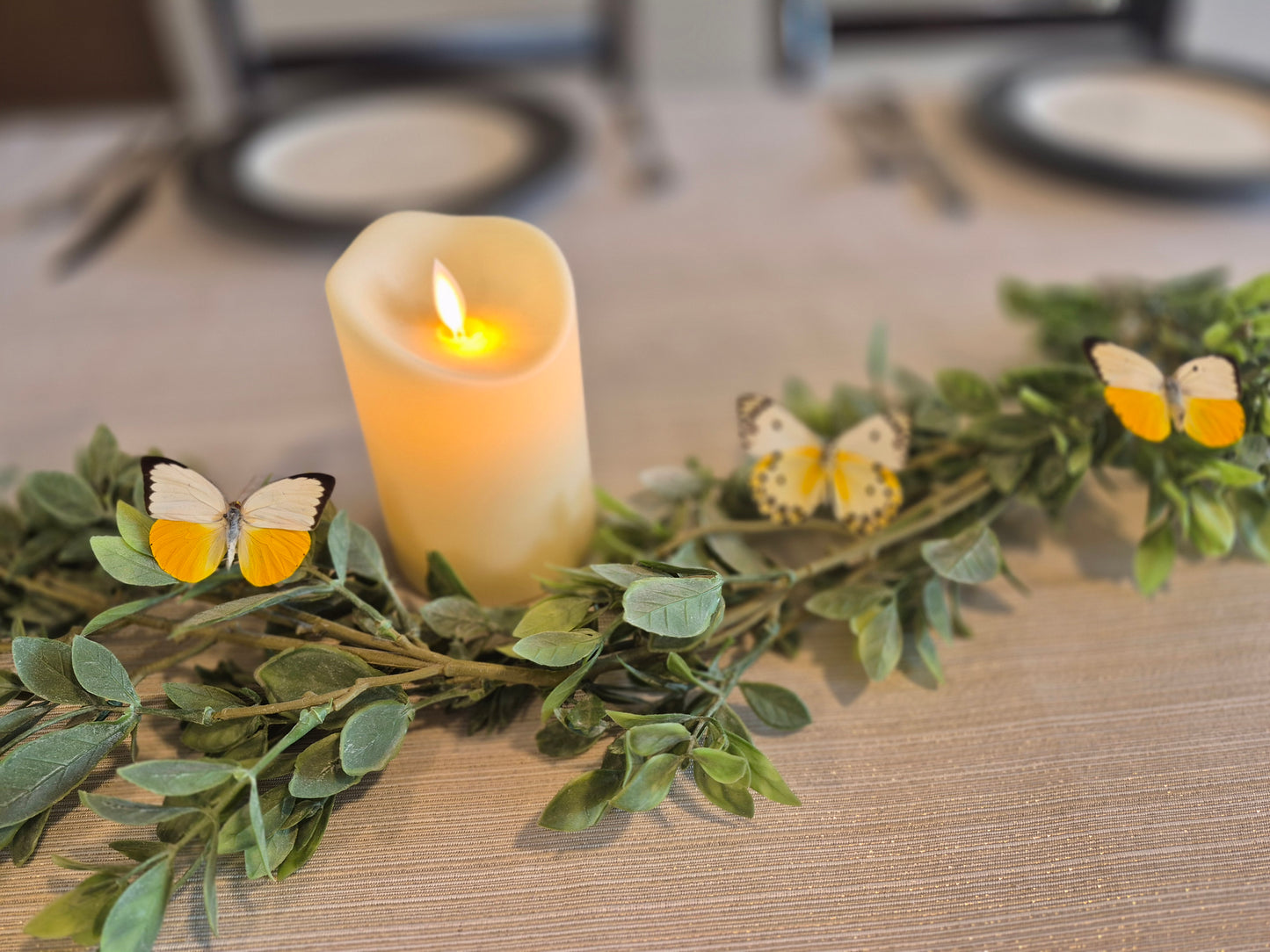 Real Butterflies and Moths For Wedding Decor WINGS SPREAD open, Mixed Random Assortment of 1 or 3 species