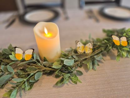 Real Butterflies and Moths For Wedding Decor WINGS SPREAD open, Mixed Random Assortment of 1 or 3 species