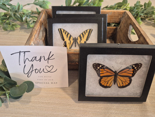 Spread Specimens in Riker Mount Frames.  Gifts, Decor, Wedding Favors
