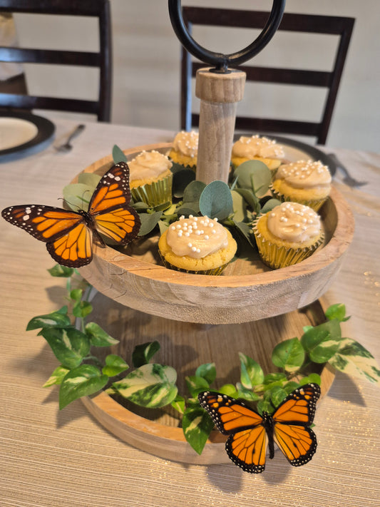 Real spread butterflies for weddings or special events