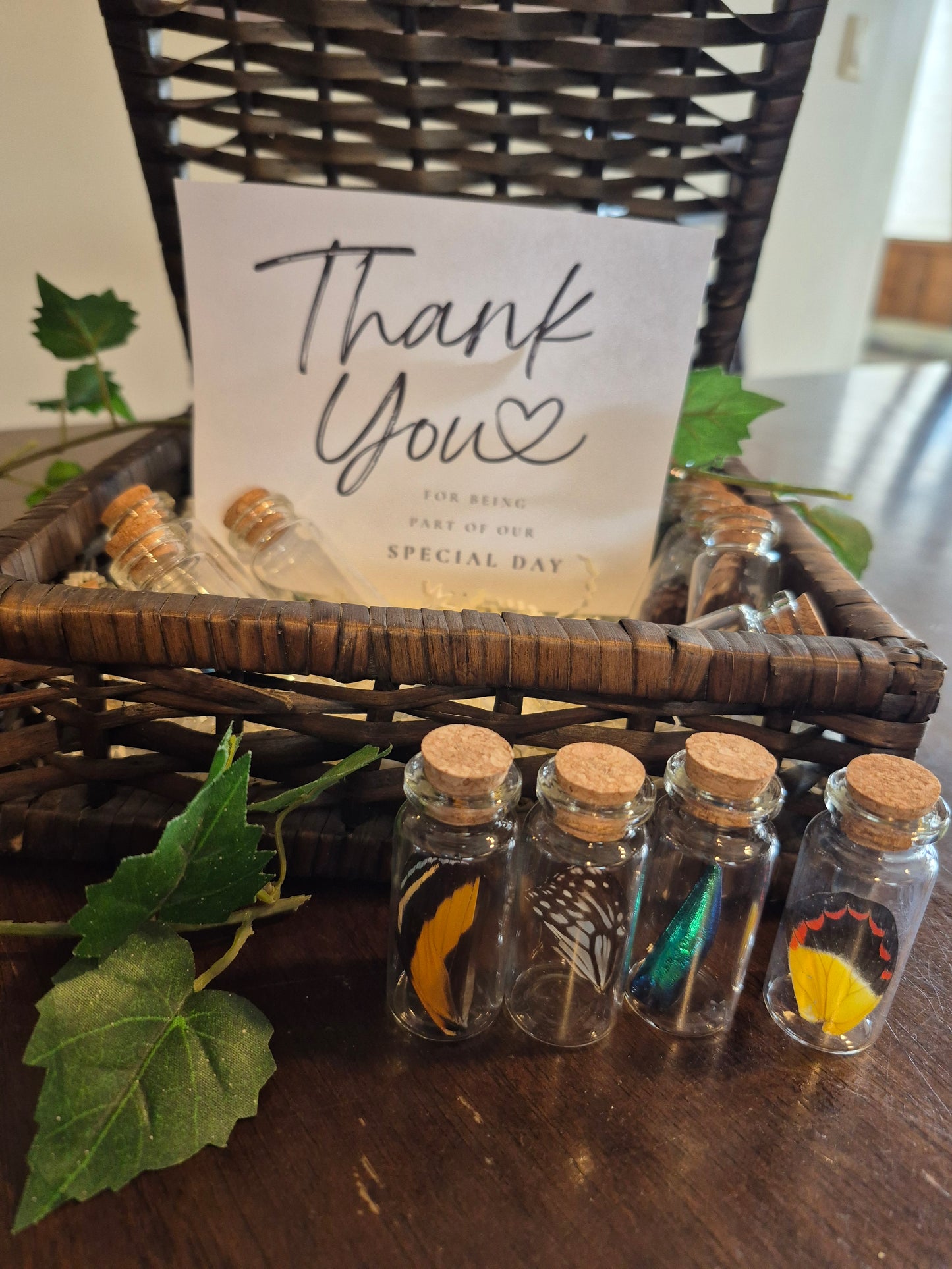 Butterfly Wing Vial - Natural Curiosities Vintage Decor