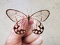 Clearwing Butterfly 'Haetera hypaesia' Male Unspread