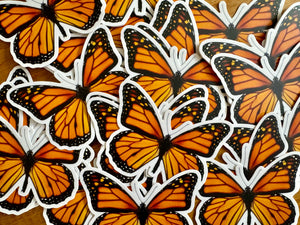 Monarch Butterfly Vinyl STICKER 'Danaus plexippus' LIFE-SIZE, Realistic