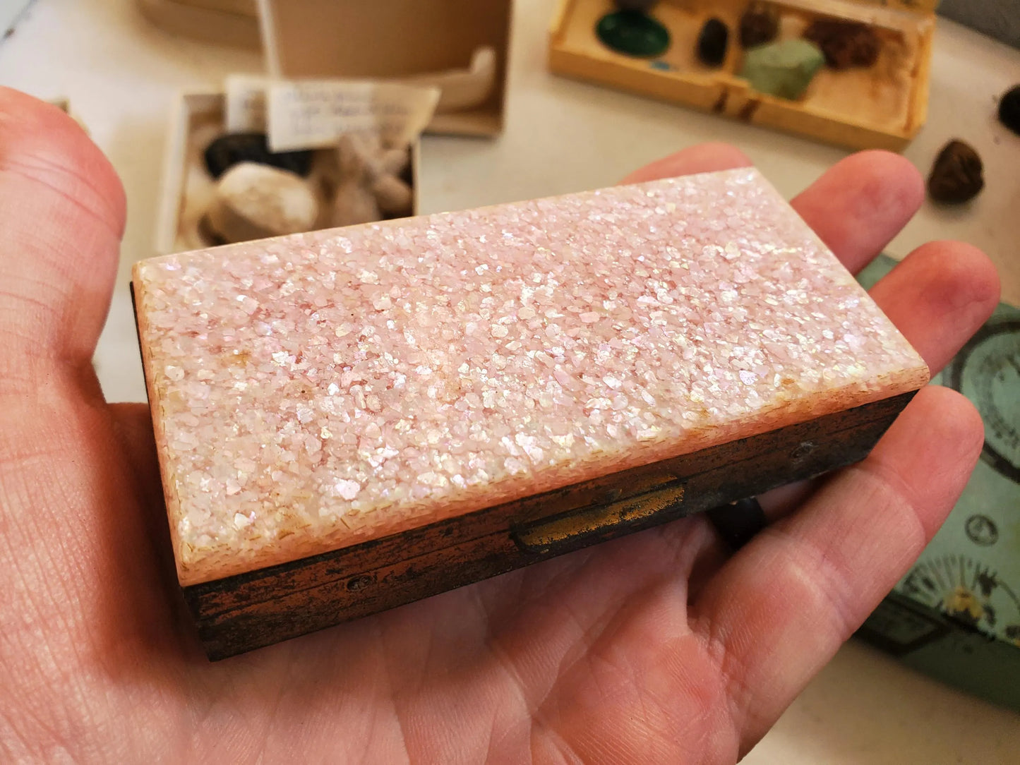 Vintage Pink Quartz Case with Shell Fossils Real Authentic Mineral and Stone Specimens