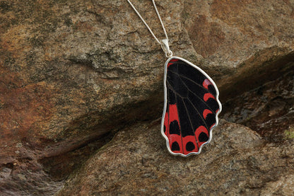 REAL Red Scarlet Butterfly Wing Pendant in 99.5 Fine Silver with 18"-20" Sterling Silver Chain