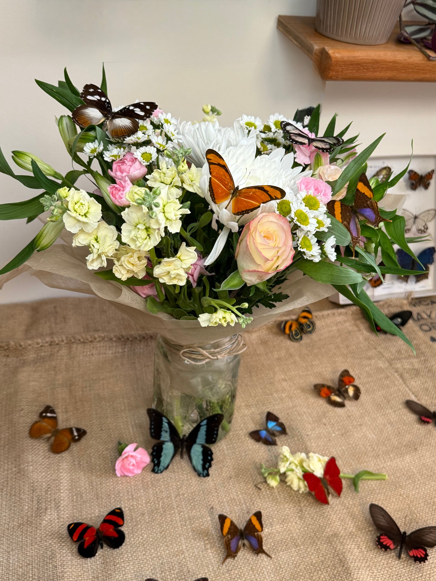 Real Butterflies and Moths For Wedding Decor WINGS SPREAD open, Mixed Random Assortment of 1 or 3 species