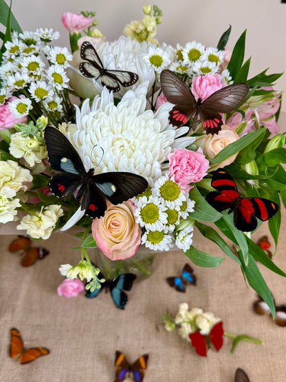 Real Butterflies and Moths For Wedding Decor WINGS SPREAD open, Mixed Random Assortment of 1 or 3 species