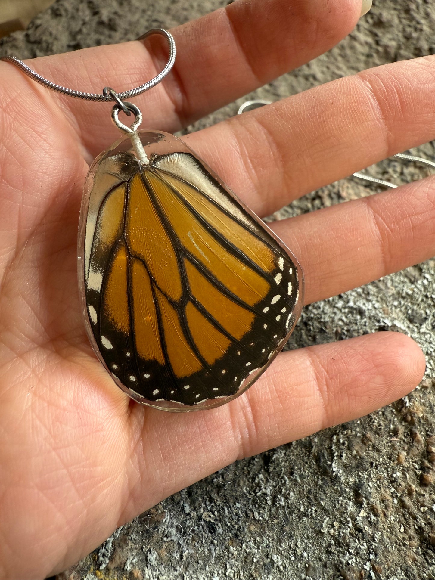 Real Butterfly and Moth Wing Pendant Necklaces