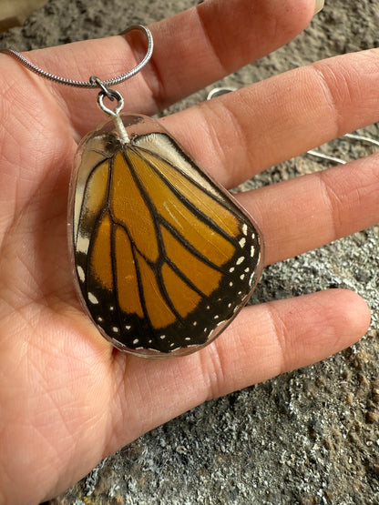 Real Butterfly and Moth Wing Pendant Necklaces