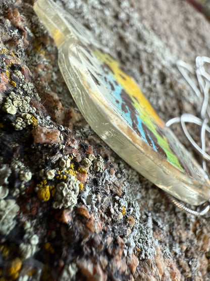Real Butterfly and Moth Wing Pendant Necklaces