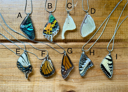 Real Butterfly and Moth Wing Pendant Necklaces