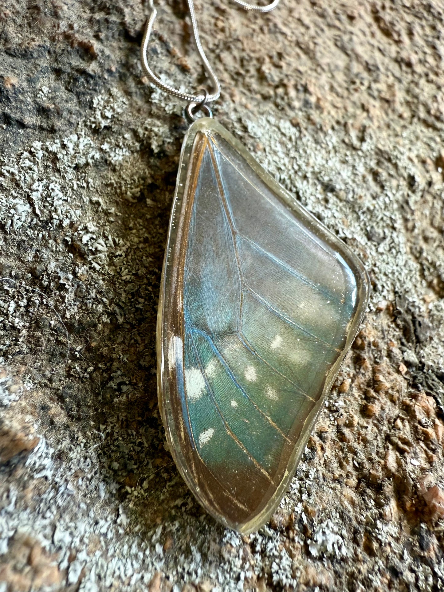 Real Morpho Butterfly Wing Pendant Necklaces