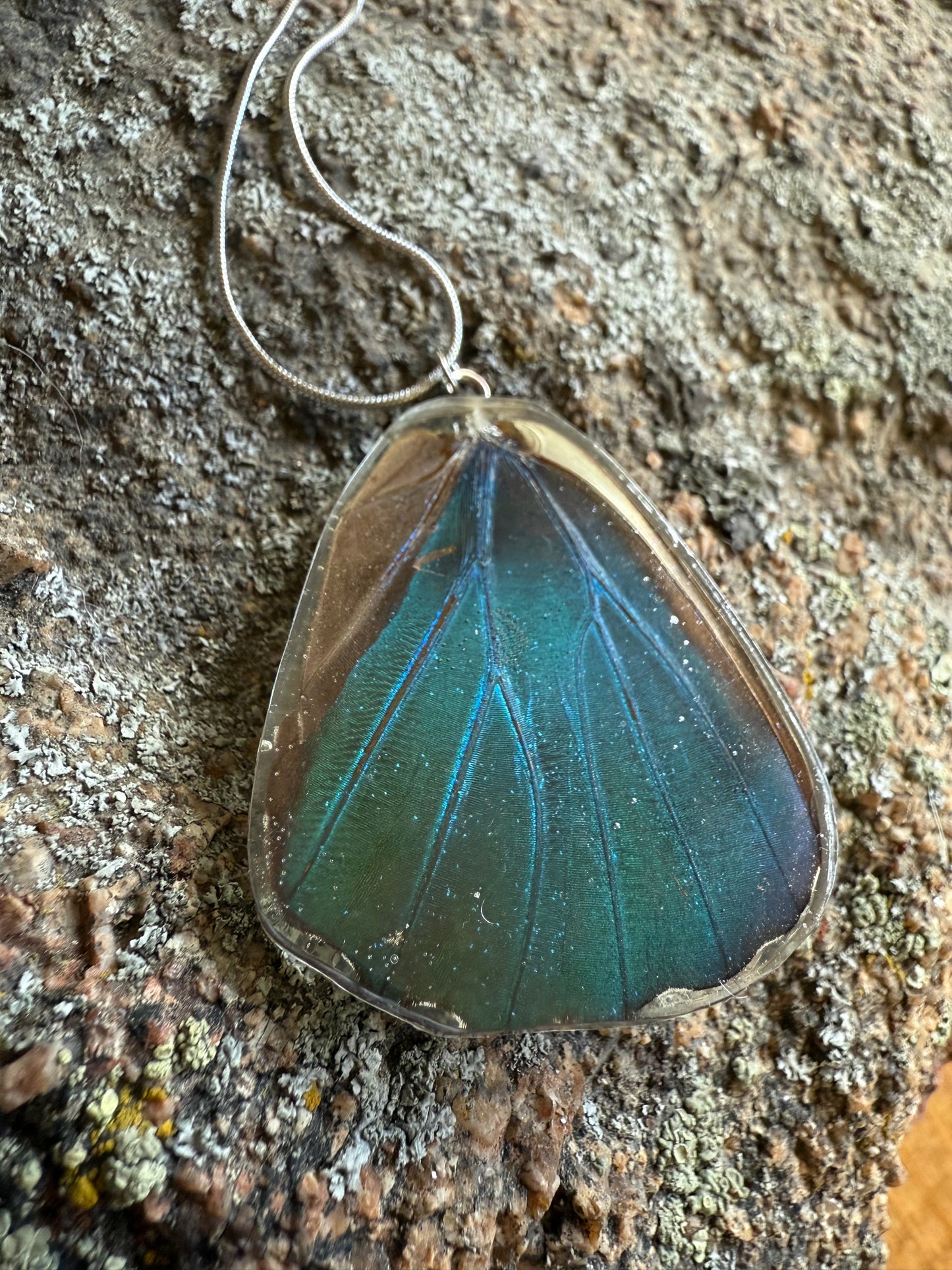 Real Morpho Butterfly Wing Pendant Necklaces
