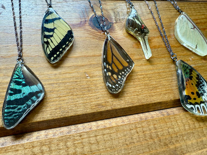 Real Butterfly and Moth Wing Pendant Necklaces Sterling Silver