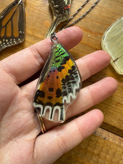 Real Butterfly and Moth Wing Pendant Necklaces Sterling Silver