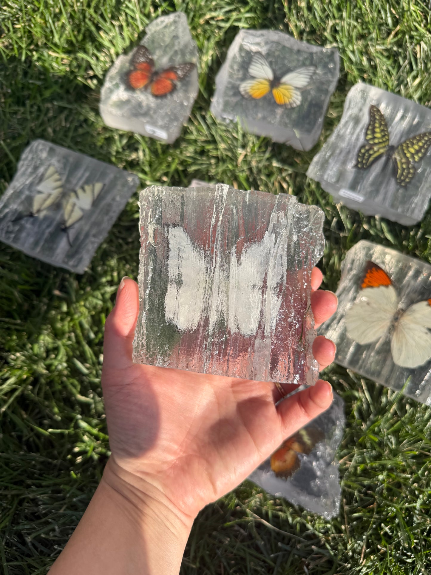 Resin Butterfly Glacier - Real Butterfly Specimens Encased in Crystal Resin