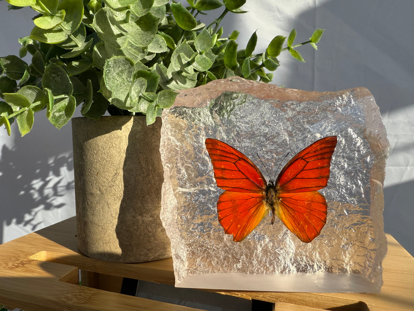 Resin Butterfly Glacier - Real Butterfly Specimens Encased in Crystal Resin