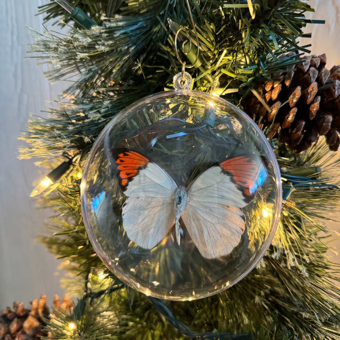 REAL Butterfly Christmas Tree Ornaments