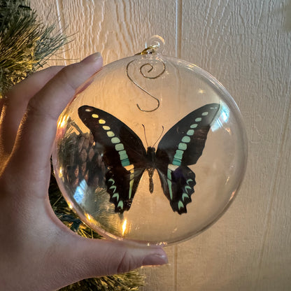 REAL Butterfly Christmas Tree Ornaments