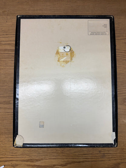 Vintage Framed Atlas Moth Pair